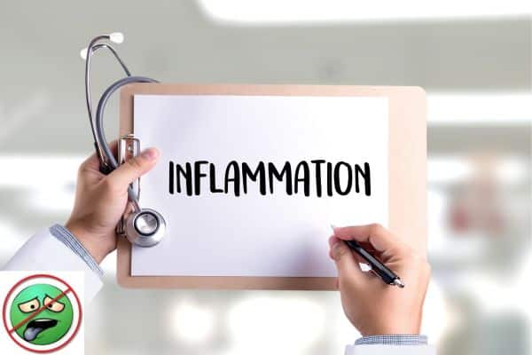 inflammation causes hangovers